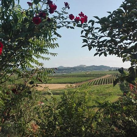 Agriturismo La Chiesina Abbadia di Montepulciano Esterno foto