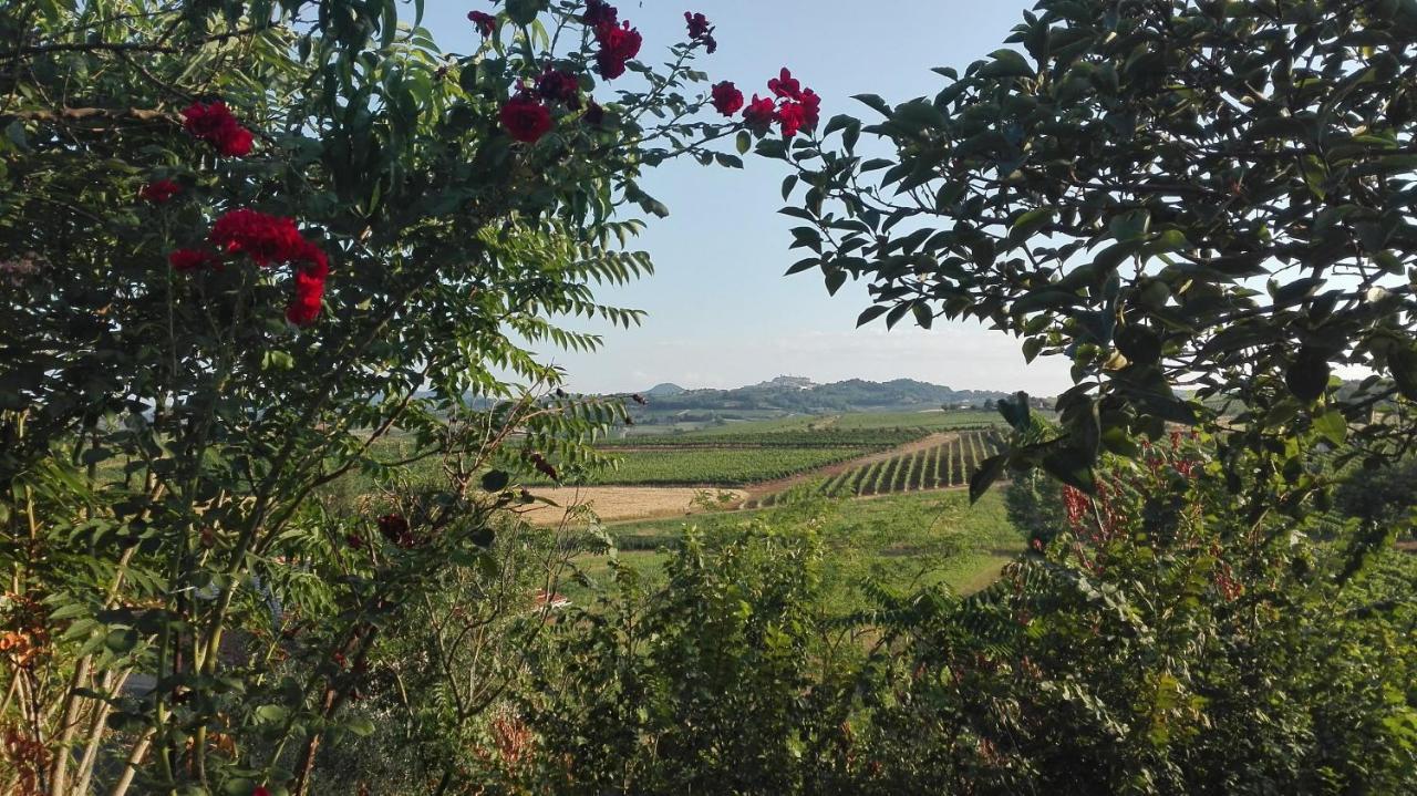 Agriturismo La Chiesina Abbadia di Montepulciano Esterno foto