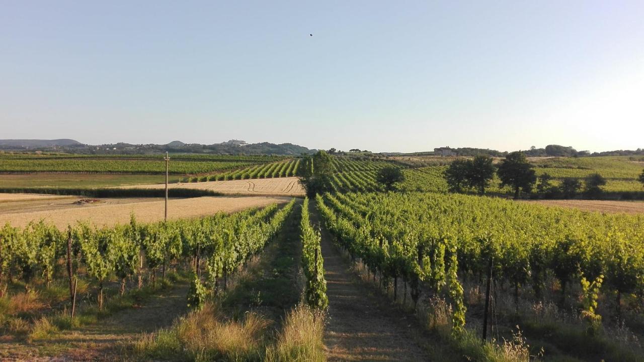 Agriturismo La Chiesina Abbadia di Montepulciano Esterno foto